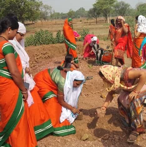 जेठा कलस्टर की महिला समूह ने किया पौधरोपण, मनाया विश्व पर्यावरण दिवस जेठा कलस्टर की महिला समूह ने किया पौधरोपण, मनाया विश्व पर्यावरण दिवस kshititech