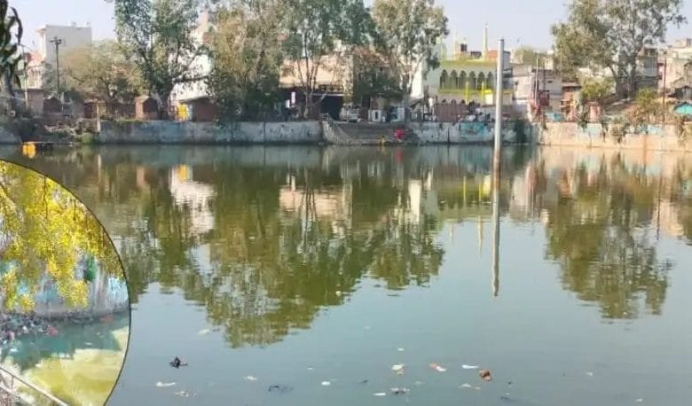 महामाई दर्री तालाब का पानी हुआ हरा, साफ सफाई की सख्त जरूरत महामाई दर्री तालाब का पानी हुआ हरा, साफ सफाई की सख्त जरूरत kshititech