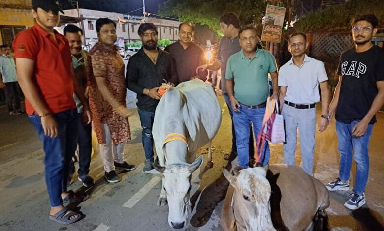 अखिल भारतीय अग्रवाल सम्मेलन जिला इकाई सक्ती के द्वारा गौ माता को सुरक्षा हेतु बांधा गया रेडियम पट्टी अखिल भारतीय अग्रवाल सम्मेलन जिला इकाई सक्ती के द्वारा गौ माता को सुरक्षा हेतु बांधा गया रेडियम पट्टी kshititech