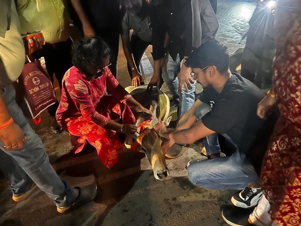 अखिल भारतीय अग्रवाल सम्मेलन जिला इकाई सक्ती के द्वारा गौ माता को सुरक्षा हेतु बांधा गया रेडियम पट्टी अखिल भारतीय अग्रवाल सम्मेलन जिला इकाई सक्ती के द्वारा गौ माता को सुरक्षा हेतु बांधा गया रेडियम पट्टी kshititech