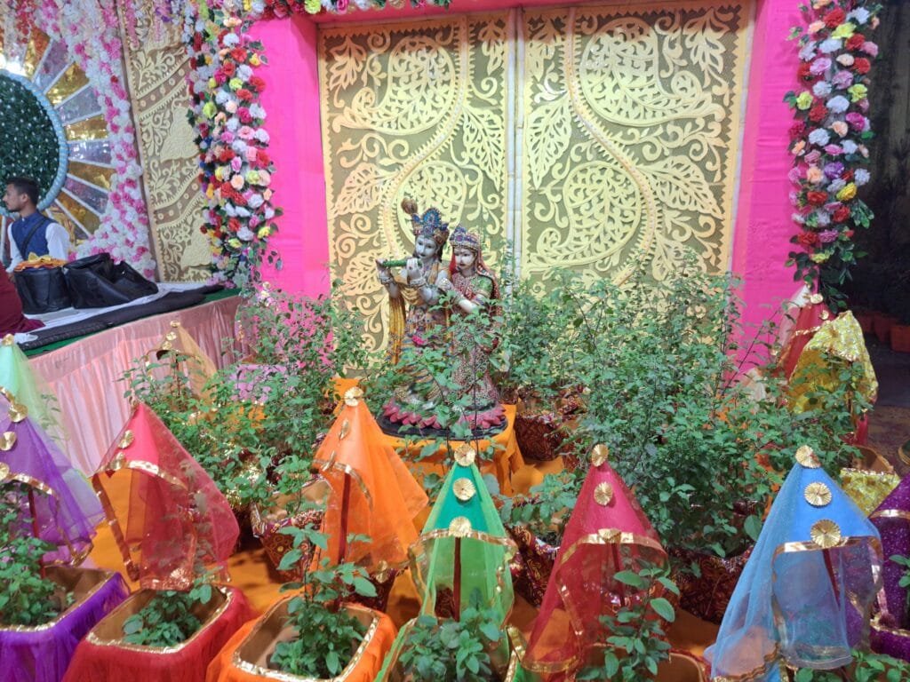 नगर में तुलसी शालिग्राम विवाह एवं एकादशी उद्यापन का हुआ आयोजन नगर में तुलसी शालिग्राम विवाह एवं एकादशी उद्यापन का हुआ आयोजन kshititech