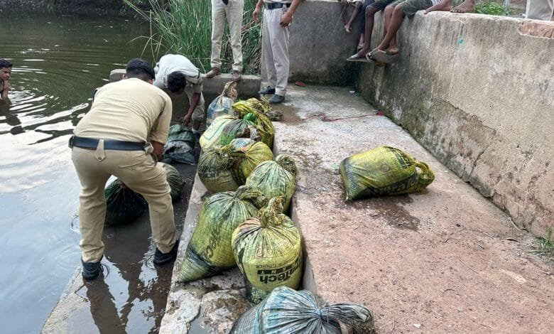 तालाब में महुआ शराब बनाने हेतु डुबाए गए भारी मात्रा में महुआ पाश (लहान) को किया गया नष्ट तालाब में महुआ शराब बनाने हेतु डुबाए गए भारी मात्रा में महुआ पाश (लहान) को किया गया नष्ट kshititech