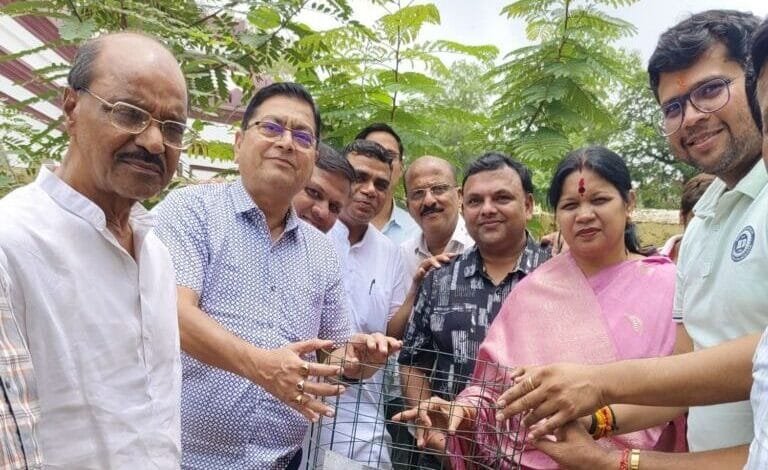 सक्ती की मारवाड़ी युवा मंच शाखा ने पर्यावरण सुरक्षित रखने 8 जुलाई को किया वृक्षारोपण सक्ती की मारवाड़ी युवा मंच शाखा ने पर्यावरण सुरक्षित रखने 8 जुलाई को किया वृक्षारोपण kshititech
