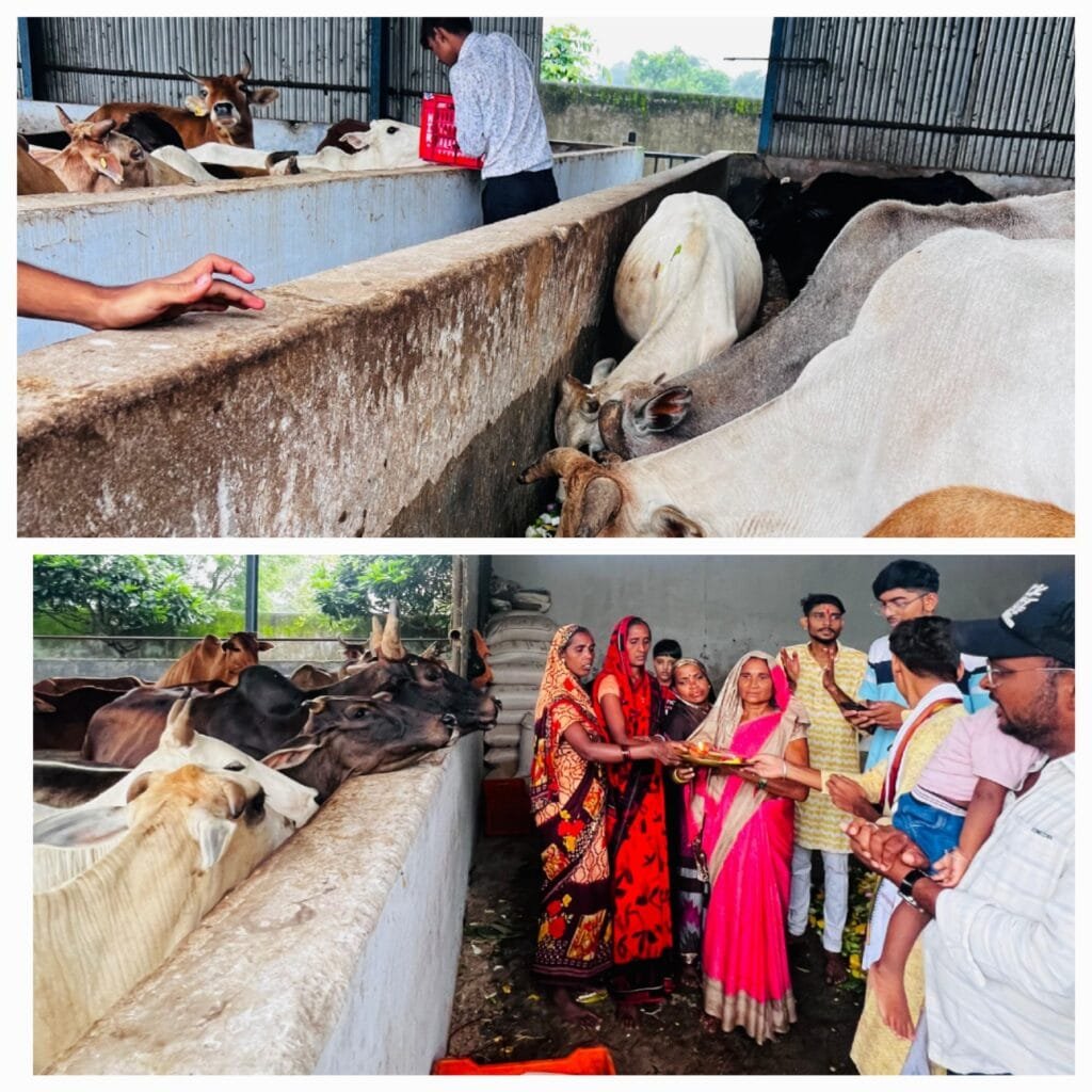 कृष्णा जन्माष्टमी के उपलक्ष में वृंदावन गौशाला में सक्ती के गौ सेवको के द्वारा श्री कृष्णा जी और गौ मईया की आरती कर गौ वंश को खिलाया गुड , फल ,हरी सब्जियां कृष्णा जन्माष्टमी के उपलक्ष में वृंदावन गौशाला में सक्ती के गौ सेवको के द्वारा श्री कृष्णा जी और गौ मईया की आरती कर गौ वंश को खिलाया गुड , फल ,हरी सब्जियां kshititech