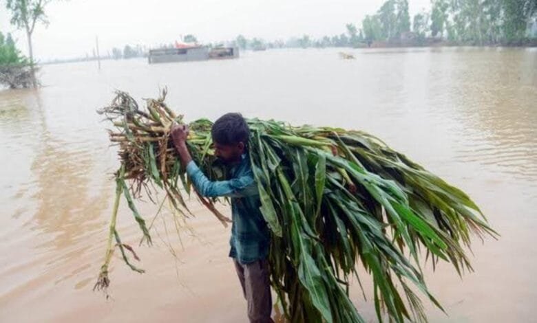 मटका जलाशय का गेट खोल देने पर किसानों की खड़ी फसल हुई बर्बाद, मुआवजे को लेकर किसानों ने की मांग मटका जलाशय का गेट खोल देने पर किसानों की खड़ी फसल हुई बर्बाद, मुआवजे को लेकर किसानों ने की मांग kshititech