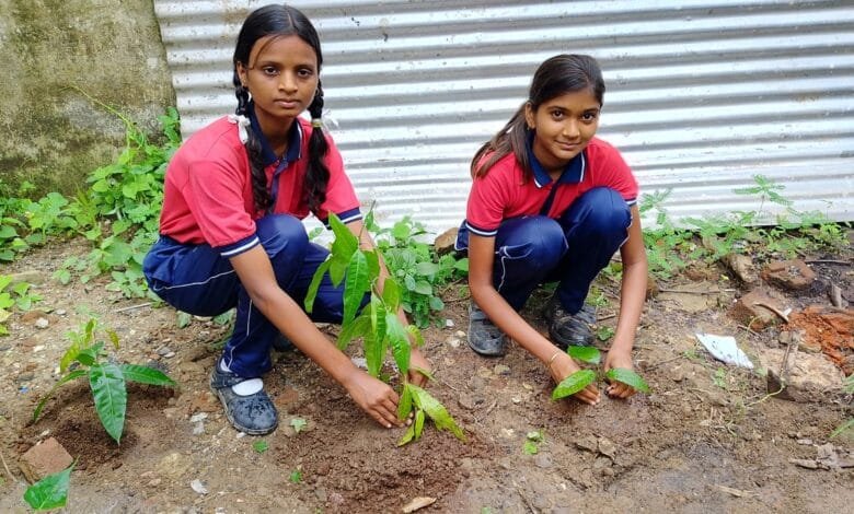 परमेश्वरी पब्लिक स्कूल में विद्यार्थियों को वृक्षारोपण एवं उसके संरक्षण के प्रति किया जागरूक परमेश्वरी पब्लिक स्कूल में विद्यार्थियों को वृक्षारोपण एवं उसके संरक्षण के प्रति किया जागरूक kshititech