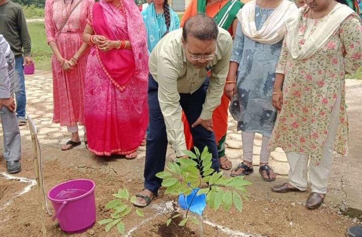 नंदौरखुर्द में आज लगभग 300 फलदार पौधों का किया गया रोपण नंदौरखुर्द में आज लगभग 300 फलदार पौधों का किया गया रोपण kshititech