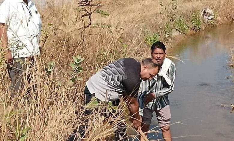 सक्ती में जल संकट के समाधान के लिए तालाबों में भरा जा रहा है नहर का पानी सक्ती में जल संकट के समाधान के लिए तालाबों में भरा जा रहा है नहर का पानी kshititech