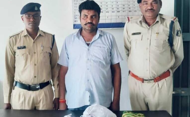 डूमरपारा गांव से 8 सौ ग्राम गांजा के साथ आरोपी गिरफ्तार डूमरपारा गांव से 8 सौ ग्राम गांजा के साथ आरोपी गिरफ्तार kshititech