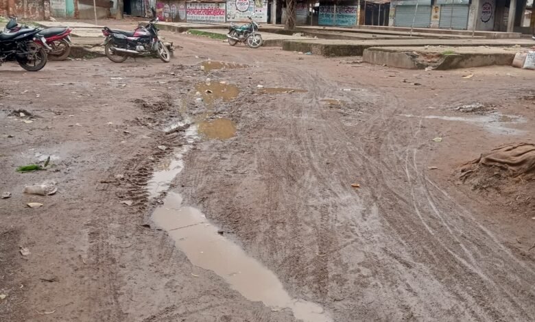 बिर्रा की गलियों में गंदगी का साम्राज्य: करोड़ों की राशि खर्च, फिर भी ग्रामीण नरकीय जीवन जीने को मजबूर बिर्रा की गलियों में गंदगी का साम्राज्य: करोड़ों की राशि खर्च, फिर भी ग्रामीण नरकीय जीवन जीने को मजबूर kshititech