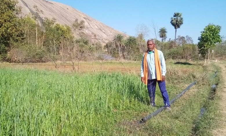 कृषक सुखसाय रबी और खरीफ फसल लेकर हो रहे लाभान्वित कृषक सुखसाय रबी और खरीफ फसल लेकर हो रहे लाभान्वित kshititech