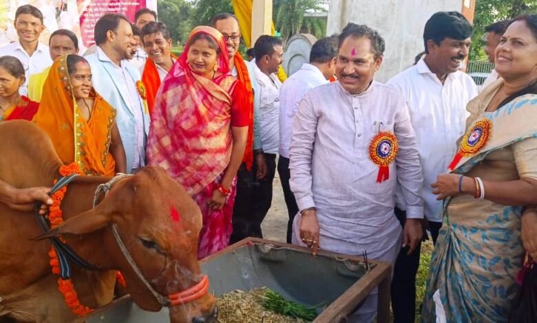 75 आदिवासी महिला किसानों को दी गई दुधारू गायें 75 आदिवासी महिला किसानों को दी गई दुधारू गायें kshititech