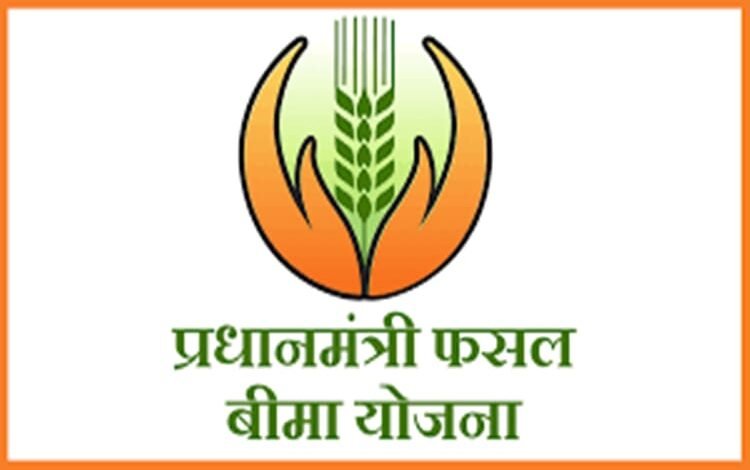 खरीफ 2025 सीजन के लिए प्रधानमंत्री फसल बीमा योजना अंतर्गत बीमा कराने की अंतिम तिथि 31 जुलाई तक खरीफ 2025 सीजन के लिए प्रधानमंत्री फसल बीमा योजना अंतर्गत बीमा कराने की अंतिम तिथि 31 जुलाई तक kshititech