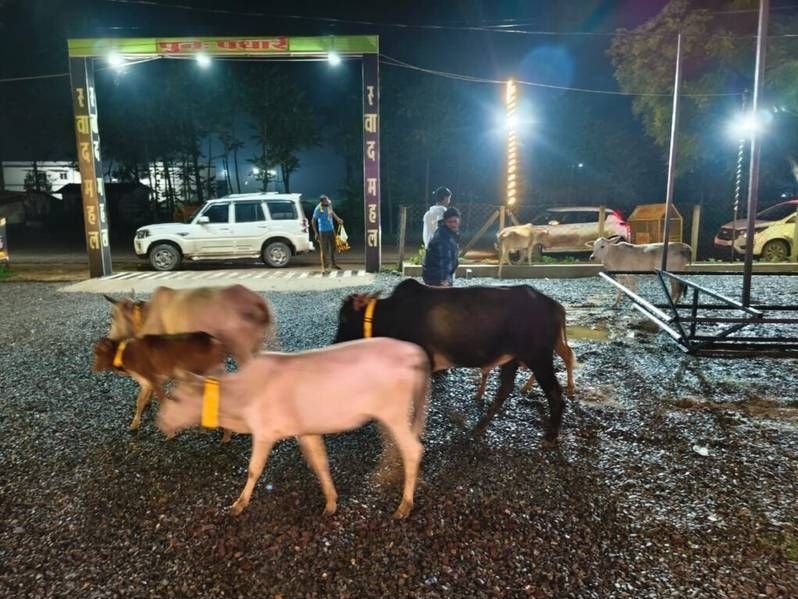 सड़क दुर्घटनाओं की रोकथाम हेतु सक्ती पुलिस व गौसेवा समिति की सराहनीय पहल सड़क दुर्घटनाओं की रोकथाम हेतु सक्ती पुलिस व गौसेवा समिति की सराहनीय पहल kshititech